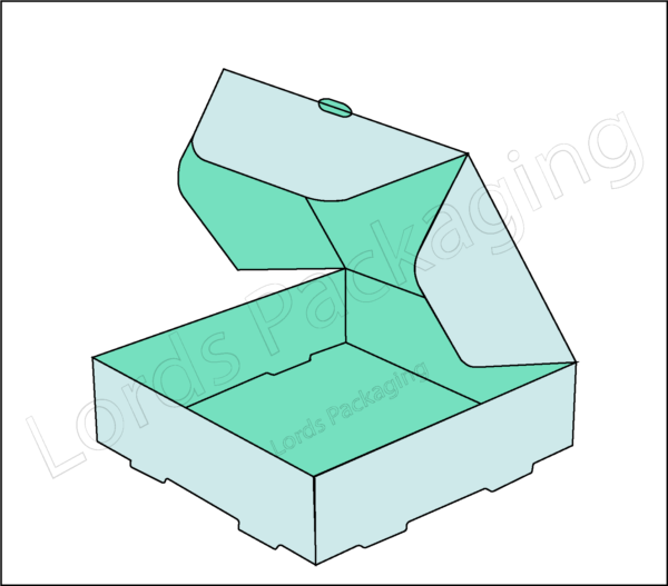 Custom double locked wall lid 1
