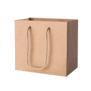 SHOP-BAG-03-50PCSX2-00.jpg SHOP BAG 03 50PCSX2 00
