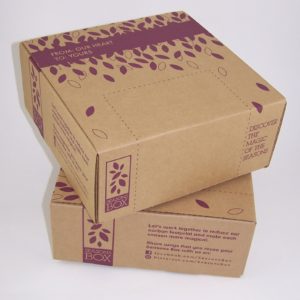 die cut mailer custom printed one color on kraft